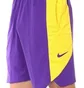 Шорти чоловічі Nike Lal Mnk Df Short Pract 18 Violet/Yellow Aj5077-504