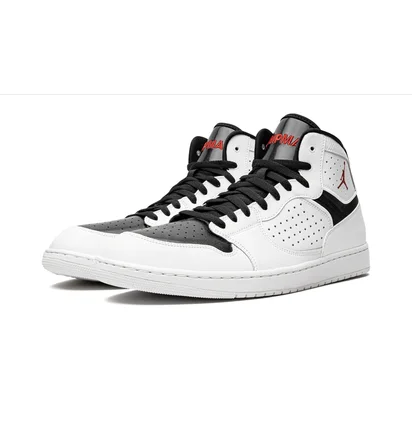 Кроссовки мужские Air Jordan Access White AR3762-101