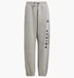 Штаны детские Adidas J All Season Gfx Grey JC7640