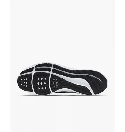 Кросівки чоловічі Nike Air Zoom Pegasus 39 Black Dh4071-001