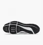 Кросівки чоловічі Nike Air Zoom Pegasus 39 Black Dh4071-001