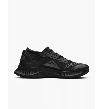 Кросівки жіночі Nike Pegasus Trail 3 Gtx Black DC8794-001