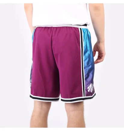 Шорти чоловічі Nike Dri-Fit Violet DH7144-610