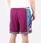 Шорти чоловічі Nike Dri-Fit Violet DH7144-610
