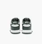 Кроссовки детские Nike Dunk Low Retro Green/White FB9109-120