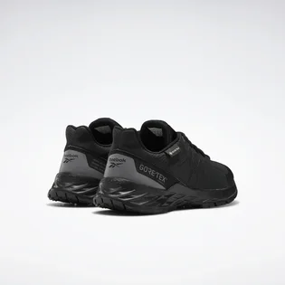 Кроссовки мужские Reebok Astroride Trail 2.0 Gore-tex Black EF4179