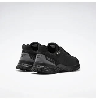 Кросівки чоловічі Reebok Astroride Trail 2.0 Gore-tex Black EF4179