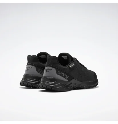 Кросівки чоловічі Reebok Astroride Trail 2.0 Gore-tex Black EF4179