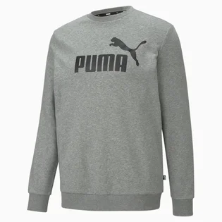 Свитшот мужской Puma Essentials Big Logo Grey 586680-03