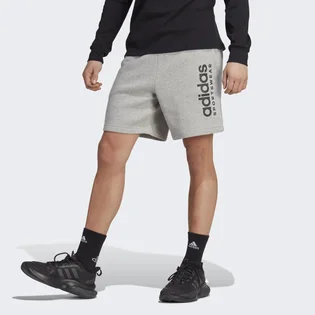 Шорты мужские Adidas All Szn Fleece Graphic Shorts Grey IC9796