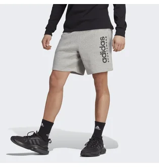 Шорты мужские Adidas All Szn Fleece Graphic Shorts Grey IC9796