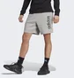 Шорты мужские Adidas All Szn Fleece Graphic Shorts Grey IC9796