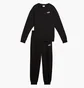 Спортивний костюм жіночий Puma Relaxed Sweat Suit Tr Black 685074-01