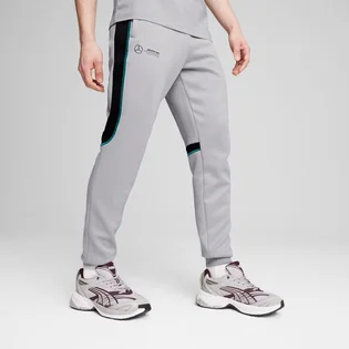 Штаны мужские Puma Mercedes-Amg Petronas F1® Mt7+ Track Pants Grey 627317-02