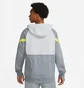 Худи мужское Nike Liverpool Fc Travel Fleece Grey DB7824-016