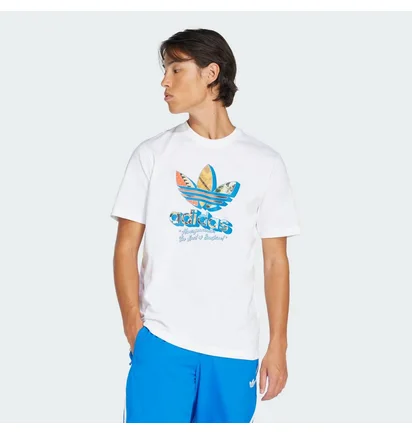 Футболка чоловіча Adidas Originals White JD0708