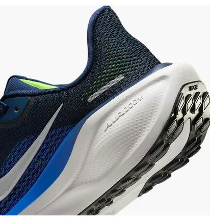 Кроссовки детские Nike Zoom Pegasus 41 Gs Blue FN5041-400