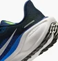 Кроссовки детские Nike Zoom Pegasus 41 Gs Blue FN5041-400