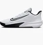Кросівки чоловічі Nike Precision 7 White FN4322-101