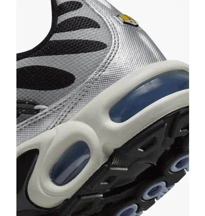 Кросівки жіночі Nike Air Max Plus Grey/Black FD0799-001