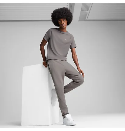 Штаны мужские Puma Evostripe Pants Grey 684614-79