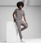 Штаны мужские Puma Evostripe Pants Grey 684614-79