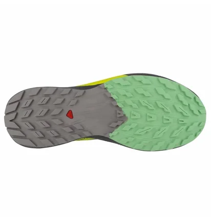 Кросівки чоловічі Salomon Sense Ride 5 Grey 471442