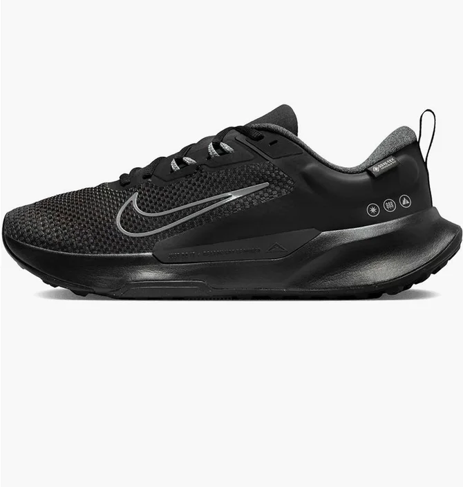Кроссовки мужские Nike Juniper Trail 2 Gore-Tex Black FB2067-001