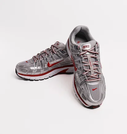 Кросівки чоловічі Nike P-6000 Metallic CD6404-024