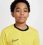 Футболка дитяча Nike Dri-Fit Academy 25 Yellow FZ9758-719