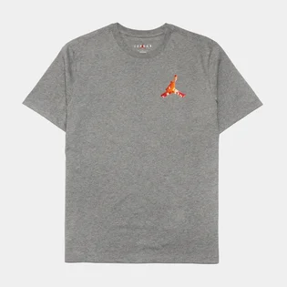 Футболка чоловіча Air Jordan Jumpan 3D Tee Tshirt Grey DH8966-091