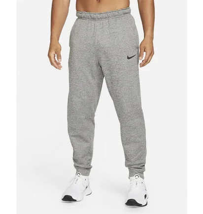 Штаны мужские Nike Therma Grey CV7739-063