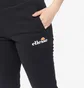 Штани жіночі Dickies Hallouli Jog Pants Black Sgk13652-011