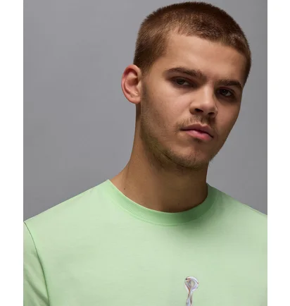 Футболка мужская Air Jordan Sport Green HQ7984-376