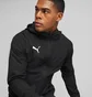 Ветровка мужская Puma Teamrise All Weather Black 657396-04