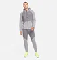 Толстовка мужская Nike Therma-Fit Edition Novelty Grey DD2102-084