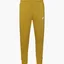 Штаны мужские Nike Sportswear Club Olive BV2679-716