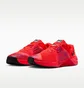 Кросівки чоловічі Nike Metcon 10 Amp Red HQ2615-600