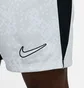 Шорти чоловічі Nike Hritg Wstpck-Rorschach White FN2413-043
