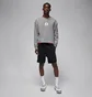 Свитшот мужской Air Jordan Ess Stmt Flc Crew Grey FB6932-091