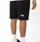 Шорти чоловічі The North Face Light Shorts Black NF0A3S4EJK3