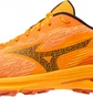 Кросівки чоловічі Mizuno Wave Rider Gtx Orange J1GC227902