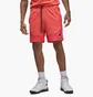Шорты мужские Air Jordan M J Flt Mvp Mesh Short F2 Peach DX9722-814