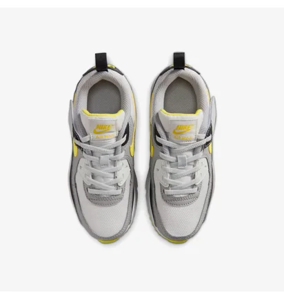 Кроссовки детские Nike Air Max 90 Grey IQ0096-100