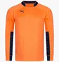 Лонгслив мужской Puma Raglan Goalkeeper Orange 701918-40