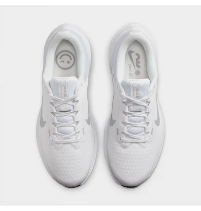 Кроссовки мужские Nike Winflo 10 Running Shoes White DV4022-102