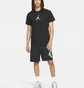 Футболка чоловіча Air Jordan M J Brand 23 Swoosh Ss Crew Black CZ8378-010