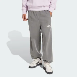 Штаны мужские Adidas All Szn Fleece Washed Pants Grey JL6534