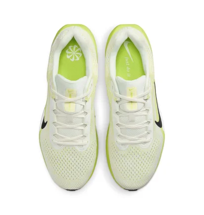 Кросівки чоловічі Nike Air Winflo 11 Beige FJ9509-101