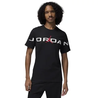 Футболка мужская Air Jordan T-Shirt Black HJ2358-010